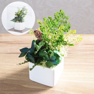 「スクエア」には平らなアジアンタムと、ニュアンスカラーのアジサイが中心にデザインされています。