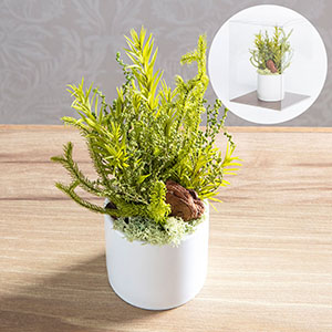 「シリンダー」にはニョロニョロした形のヒカゲノカズラなど、ライトグリーンを集めました。