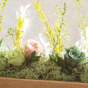 上品な色彩のミニバラがフレーム全体に咲いています。