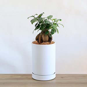 別アングルからのイメージです。