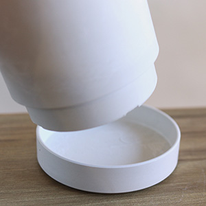 インテリアになじみやすいシンプルな鉢で、受皿付きなのも嬉しいポイントです。