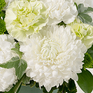 存在感のあるディスバッドマムに清楚な花々を合わせたアレンジメントです。
