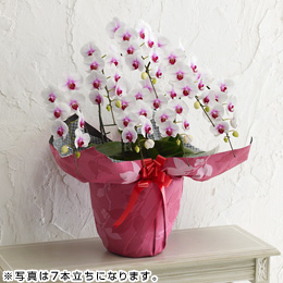 �唫�Ӓ������ԃ��b�v��10�{����
