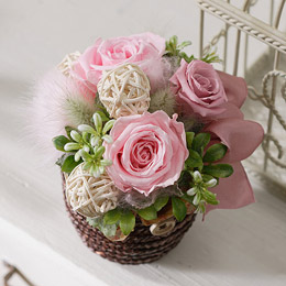 �d�w�v���U�[�u�h�u���^���s���N�v