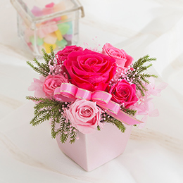 �d�w�v���U�[�u�h�u�t�����[�r�[�i�X�v
