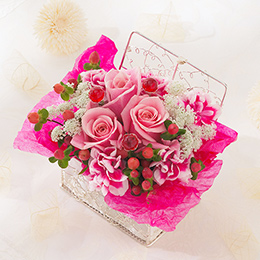 �d�w�A�����W�����g�u�p�b�V�������r�[�v