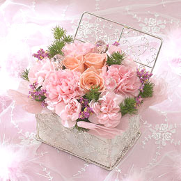�d�w�A�����W�����g�u�X�E�B�[�g�E�g���}�����v