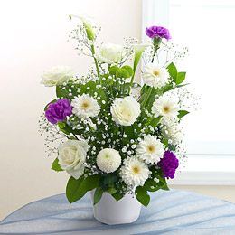 �d�w�A�����W�����g�u���[���_�X�g�Z�����j�[�v