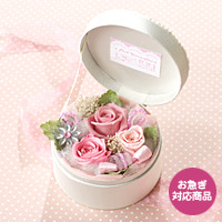 �d�w�v���U�[�u�h�u10���̒a���΃g���}�����v