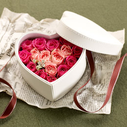 EX�A�����W�����g�u�v���V���X�E�n�[�g�v