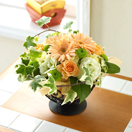 �d�w�A�����W�����g�u�X�C�[�g�p�X�e���v