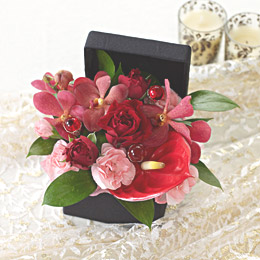 �d�w�A�����W�����g�u�t�����[�E�W���G���{�b�N�X�`���r�[�`�v