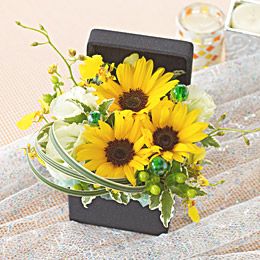 �d�w�A�����W�����g�u�t�����[�E�W���G���{�b�N�X�`�y���h�b�g�`�v