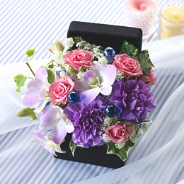 �d�w�A�����W�����g�u�t�����[�E�W���G���{�b�N�X�`�T�t�@�C�A�`�v