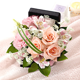 �d�w�A�����W�����g�u�t�����[�E�W���G���{�b�N�X�`�g���}�����`�v