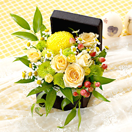 �d�w�A�����W�����g�u�t�����[�E�W���G���{�b�N�X�`�g�p�[�Y�`�v