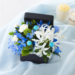 EX�A�����W�����g�u�t�����[�E�W���G���{�b�N�X�`�^�[�R�C�Y�`�v