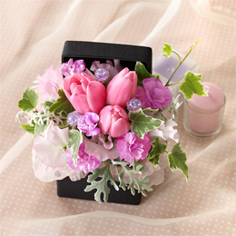 EX�A�����W�����g�u�t�����[�E�W���G���{�b�N�X�`�A���W�X�g�`�v