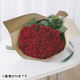 �d�w���_�����[�Y�u���b�h�v