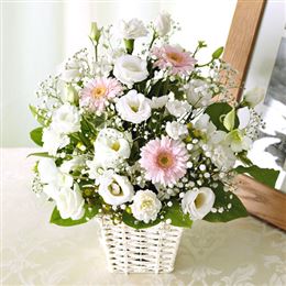 �d�w�A�����W�����g�u�e���_�[�n�[�g�v