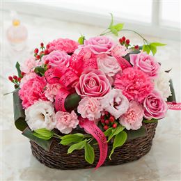 EX�A�����W�����g�u�t�������[�E�s���N�v