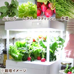 LEDプランター栽培キット「彩りサラダセット」