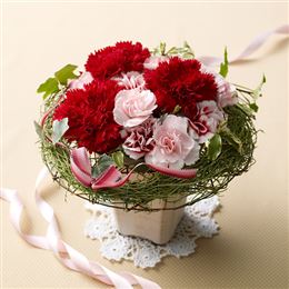 ��̓��A�����W�����g�u�u�����A���g�E�}�~�[�v