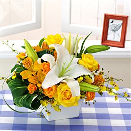 ���̓� �A�����W�����g�u�G���K���g�E�_�b�h�v