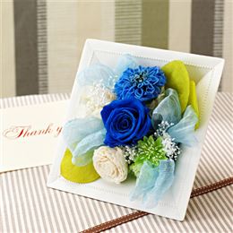 ���̓� �v���U�[�u�h�u�A�W���[���E�X�N�G�A�v