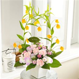 �h�V�̓� �A�����W�����g�u���ӂ̃A�[�`�v