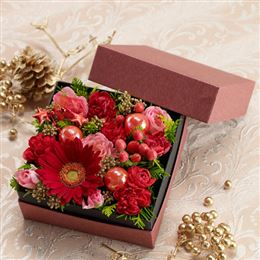 �A�����W�����g�u�V���C�j�[�E�����_�[�E�{�b�N�X�v