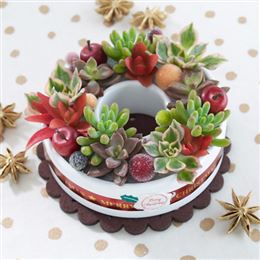 ���A���u�t���b�V���E�m�G���P�[�L�v