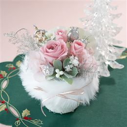 �v���U�[�u�h�u�z�[���[�E�v�����Z�X�v