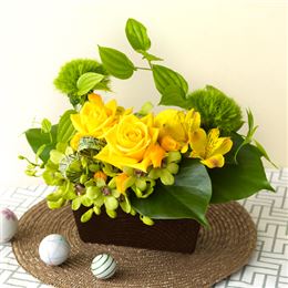 �A�����W�����g�u�r�b�O�E�n�[�g�E�p�p�v