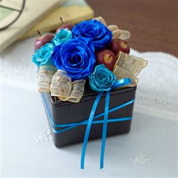 ���A���u�I���G���^�������[�@���h���t�v