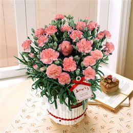 ��̓��v���[���g�E�M�t�g���W ���A���u�J�[�l�[�V�����@�������[���v