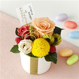 �h�V�̓��@�v���U�[�u�h�t�����[�u�i�v�i�Ƃ�j�̏Ί�v 