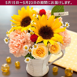 �A�����W�����g�u�T���t�����[�E�X�}�C���v