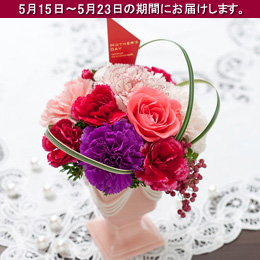 �A�����W�����g�u�x���[�x���[�E�X�C�[�c�v
