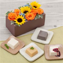 �A�����W�Z�b�g�u�V�[�N���b�g�{�b�N�X�@�������������v
