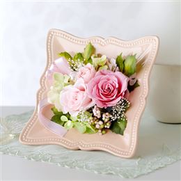 �v���U�[�u�h�u�X�v�����O�E�Z���u���[�V�����v