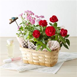�񂹔��u�v���e�B�E���[�Y�v