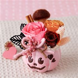 �v���U�[�u�h�u�s���N�̂��ڂ���H�v