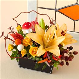�A�����W�����g�u�H�̎U�����v
