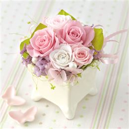�v���U�[�u�h�t�����[�uSpring Fairies�`�d�������̉��`�v