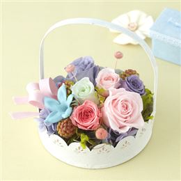 �v���U�[�u�h�t�����[�u�W�����_���E�t���[�����v