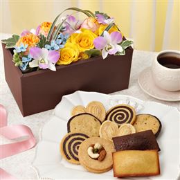 �A�����W�Z�b�g�u�V�[�N���b�g�E�{�b�N�X -�K�g�[�O���}���f�B�[�Y-�v