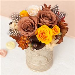 �v���U�[�u�h�t�����[�u�I�[�^�����[�t�v