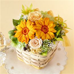 �v���U�[�u�h�t�����[�u�t�F�̃I�����W�K�[�x���`�t���b�V���r�^�~���`�v