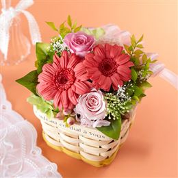 �v���U�[�u�h�t�����[�u�t�F�̃s���N�K�[�x���`�i�`�������L���[�g�`�v